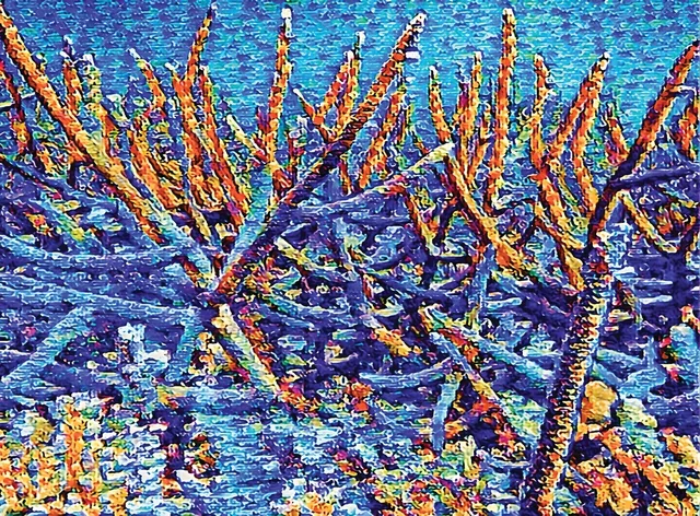 Stag Garden
