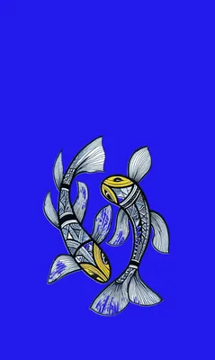 Koi Fun