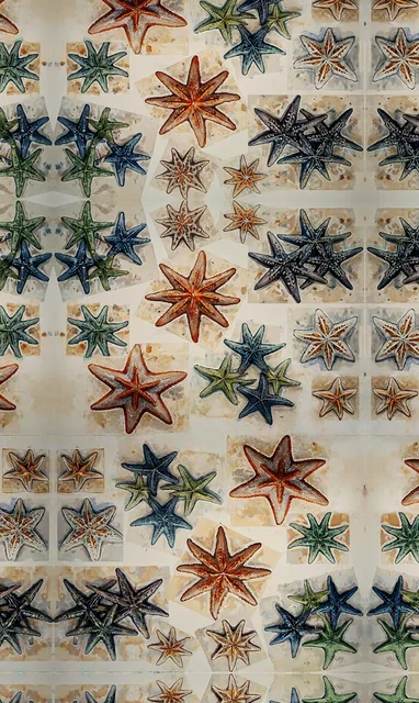 Starfish Phone