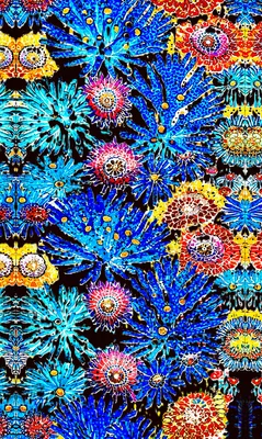 Coral Explosion