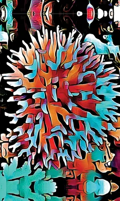 Aqua Spike